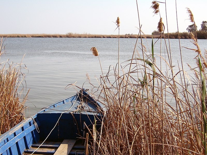 File:Delta de l'Ebre.jpg