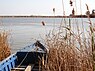 Delta of the Ebro river (Catalonia, Spain, 2006)