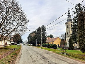 Diósviszló, református templom, Petőfi utca.jpg