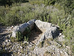 Suuntaa-antava kuva leikkauksesta Dolmen de l'Oliveda d'en David