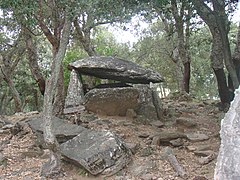 Dolmen de la Siureda de face dans son environnement.JPG