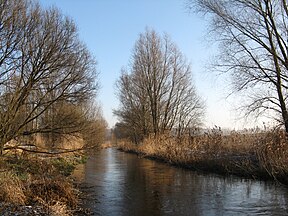 Drava žiemą