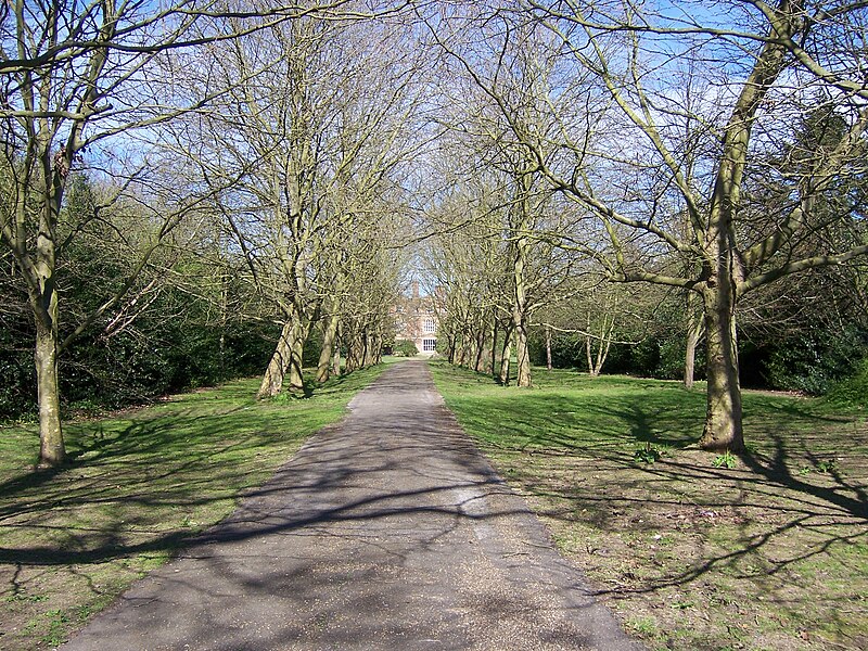 File:Drive leading to Swakeleys House.JPG