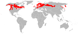 Mapka rozšíření rosnatky anglické