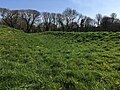 Thumbnail for File:Earthworks Newport Old Castle - geograph.org.uk - 6186832.jpg