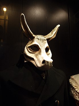 Donkey costume at night in Ghent, Belgium