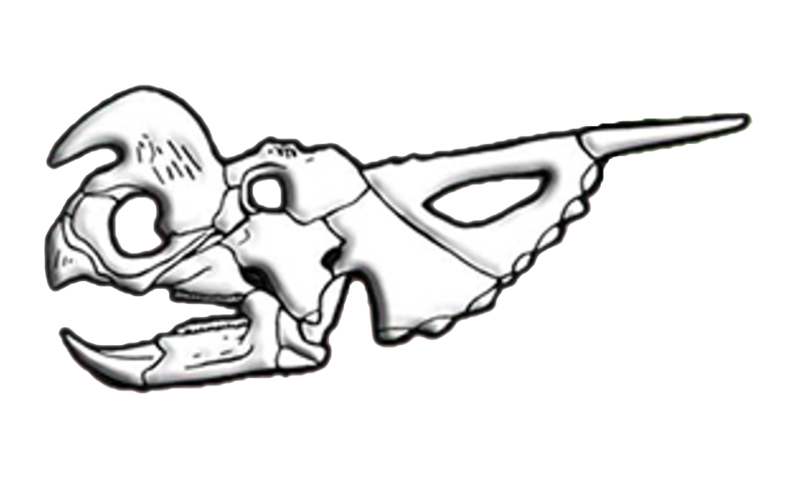 File:Einiosaurus skull diagram.png