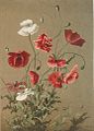 Poppies, 1885