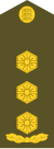 Estonia-Army-OF-5.svg