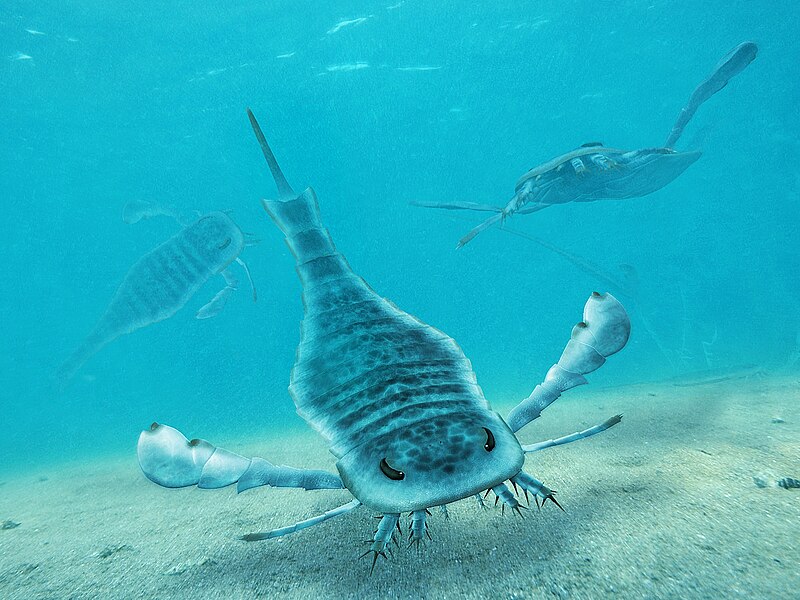 File:Eurypterus Paleoart.jpg