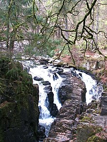 Falls of the Braan Falls of the Braan - geograph.org.uk - 1242662.jpg