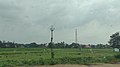 Farm field in Purba Bardhaman (18 June 2022)