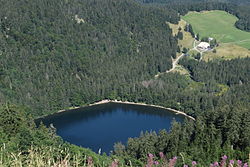 Seebuck.JPG'den Feldsee