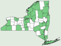 Festuca trachyphylla NY-dist-map.png