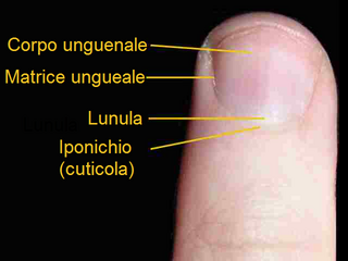 Thumb image