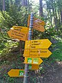 wikimedia_commons=File:Fingerpost deviation bisse Saxon 2021-06-13.jpg