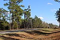 Fire tower