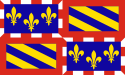 Flagg vun de Region Burgund