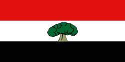 Oromian lippu.