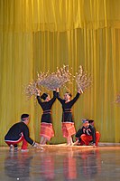 A Lumad dance