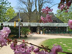 Forest nursery