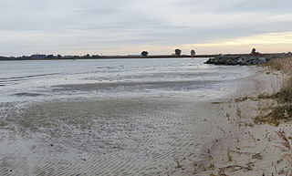 <i>Windwatt</i> Type of mudflat exposed as a result of wind action on water