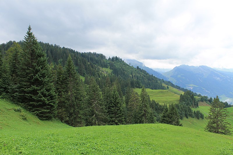 File:From Klöntal to Schwyz via Muotathal - panoramio (60).jpg