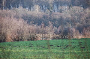 Fuhlensee und Umgebung.JPG