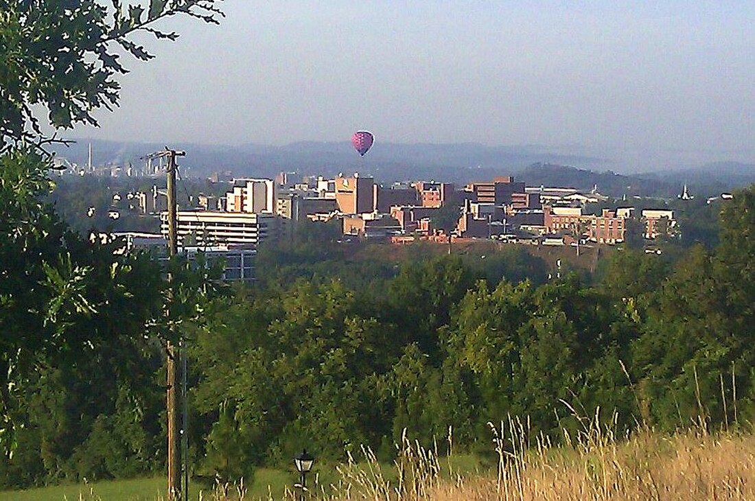 File:Fun Fest Balloons Kings View.jpg