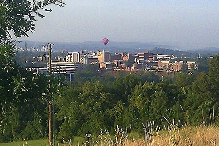 Fun Fest Balloons Kings View.jpg