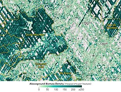 Oct 9 (5): Biomass Density in Brazil