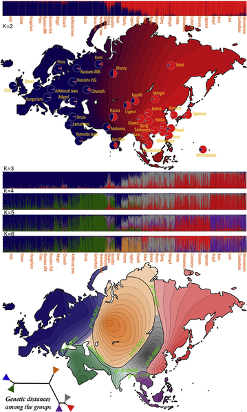 File:Genetic distances Eurasian West Asian East Asian.png