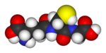 Modelo da glutationa, um antioxidante metabólito. A esfera amarela é o átomo de enxofre, um agente redutor responsável pela função antioxidante, enquanto que as esferas vermelhas, azuis, brancas e cinzentas representam respectivamente os átomos de oxigénio, azoto, hidrogénio e carbono.