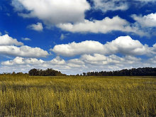 Field of cumulus clouds, which are parameterized since they are too small to be explicitly included within numerical weather prediction GoldenMedows.jpg