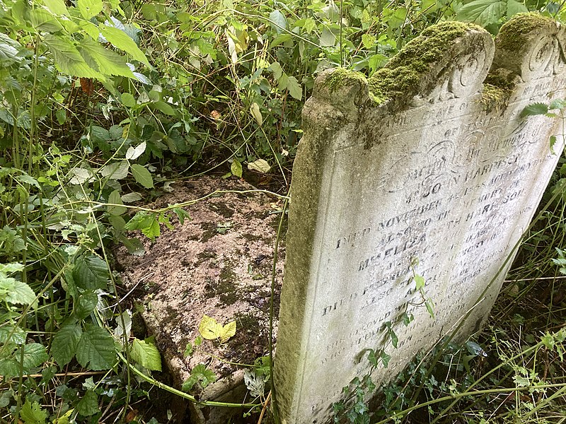 File:Grave of John Farey in Highgate Cemetery.jpg