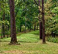 Great Bear Mound Group, North Unit, Effigy Mounds National Monument.jpg