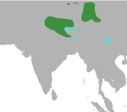Мапа поширення виду.