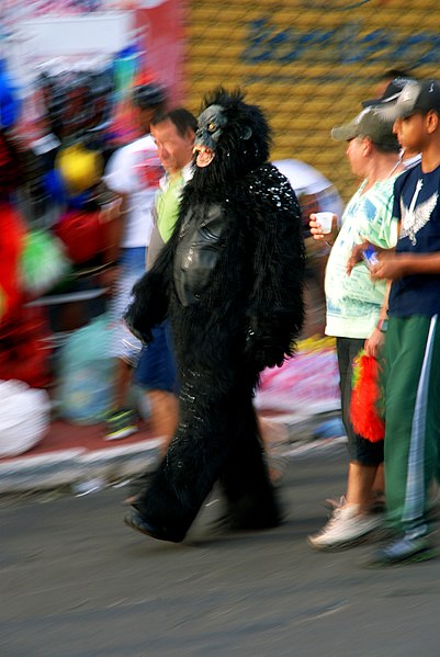 File:Gurila no carnaval.JPG