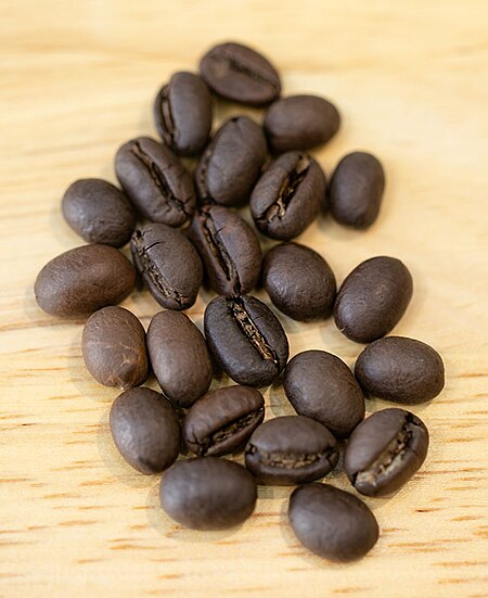 Tập_tin:Hạt_Culi_Robusta.jpg