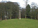 Prince of Wales Column Hagley Hall Prince of Wales Column.jpg