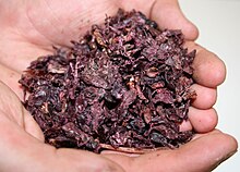 Fotografia color arată două mâini scufundate, umplute cu tescovină de struguri.  Putem distinge cojile de struguri golite de suc și semințe.  Culoarea maro-violet sugerează că este vorba de struguri roșii.
