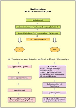Obstipation: Wortherkunft, Historisches, Normale Funktion der Darmpassage