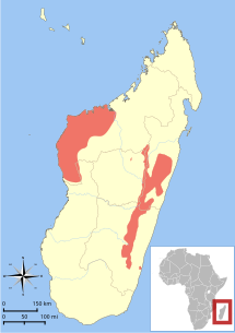 Udbredelse på Madagaskar