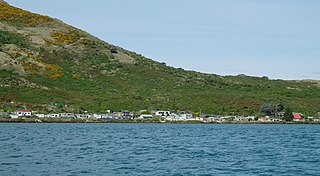 Harington Point human settlement in New Zealand