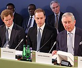 At the London Conference on The Illegal Wildlife Trade with The Prince of Wales (now King Charles III) and Prince Harry (now Duke of Sussex) (13 February 2014)