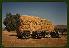 Hay stack and automobiles of peach pickers, Delta County, 1940. Hay stack and automobile of peach pickers, Delta County, Colorado LCCN2017877613.jpg