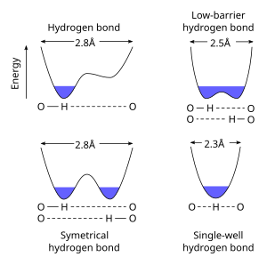 Energy profiles for different hydrogen bond types between oxygen heteroatoms. Standard hydrogen bonds are asymmetrical, with the hydrogen being associated with one heteroatom. When the pKa between the heteroatoms is equal, a symmetrical hydrogen bond forms with the hydrogen in equilibrium between two locations. At shorter distances, the barrier between the two energy minima is low enough that the hydrogen is equally bound as a low-barrier, or single-well hydrogen bond. Hbond lengths.svg