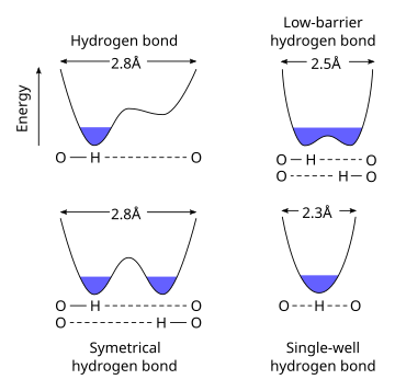 Symmetric hydrogen bond