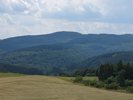 Heidekopf von Nordosten