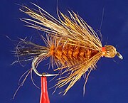 Henry's Fork Salmonfly